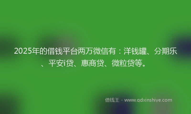 2025年的借钱平台两万微信有:洋钱罐、分期乐、平安i贷、惠商贷、微粒贷等。