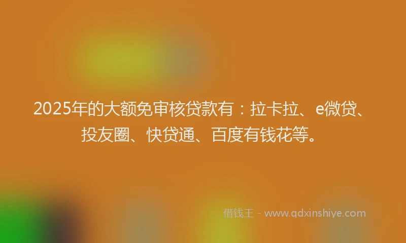 2025年的大额免审核贷款有：拉卡拉、e微贷、投友圈、快贷通、百度有钱花等。