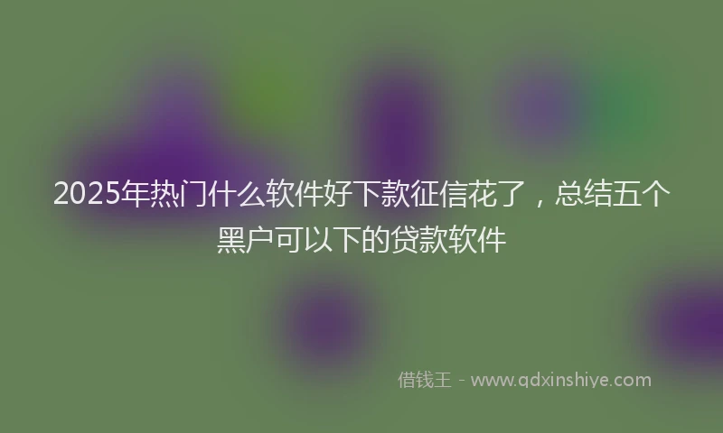 2025年热门什么软件好下款征信花了，总结五个黑户可以下的贷款软件