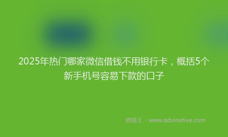 2025年热门哪家微信借钱不用银行卡，概括5个新手机号容易下款的口子