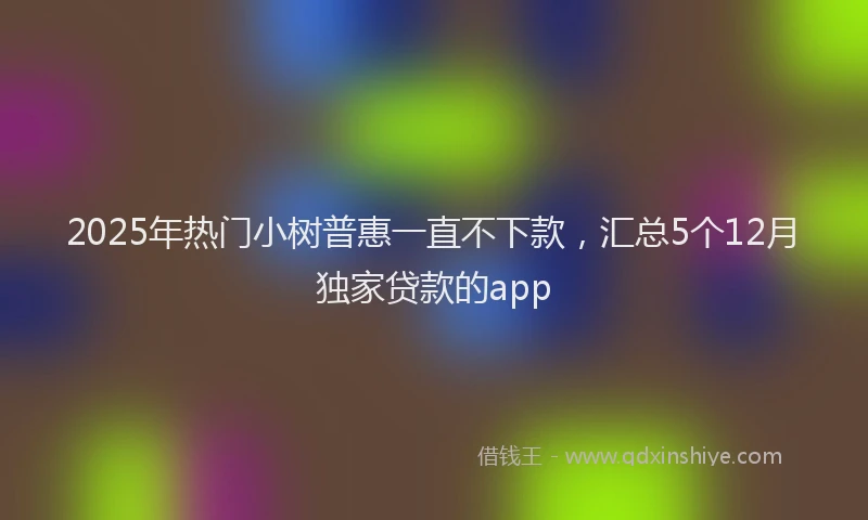 2025年热门小树普惠一直不下款，汇总5个12月独家贷款的app