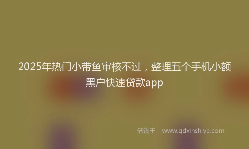 2025年热门小带鱼审核不过，整理五个手机小额黑户快速贷款app