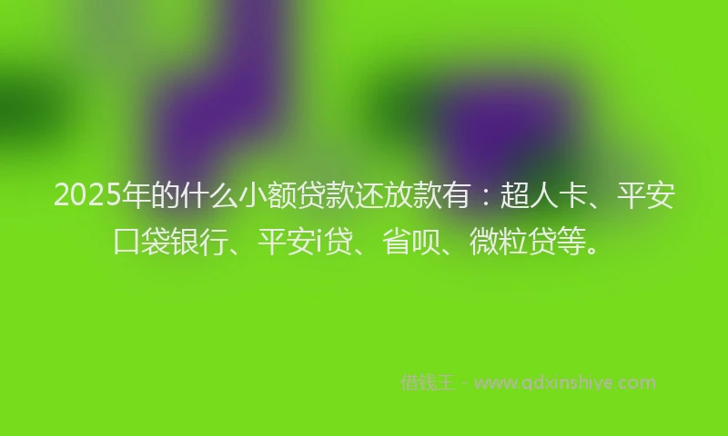 2025年的什么小额贷款还放款有：超人卡、平安口袋银行、平安i贷、省呗、微粒贷等。