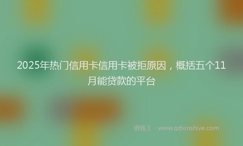 2025年热门信用卡信用卡被拒原因，概括五个11月能贷款的平台
