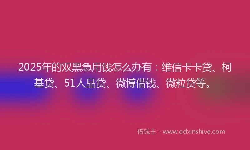 2025年的双黑急用钱怎么办有：维信卡卡贷、柯基贷、51人品贷、微博借钱、微粒贷等。