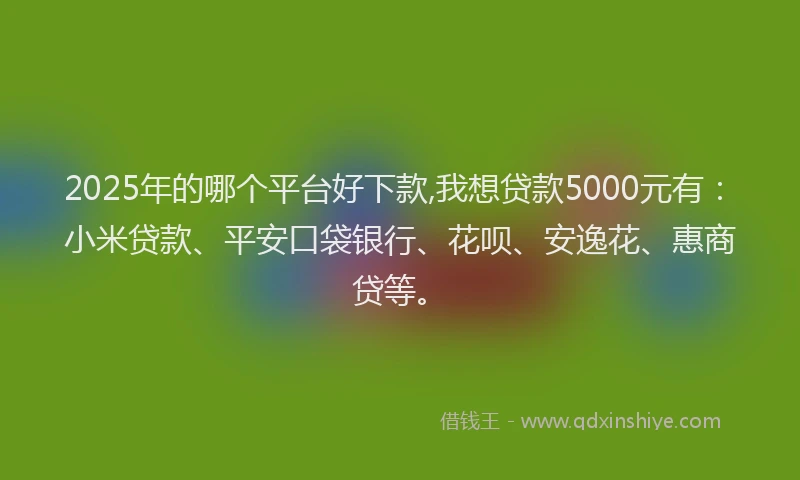 2025年的哪个平台好下款,我想贷款5000元有：小米贷款、平安口袋银行、花呗、安逸花、惠商贷等。