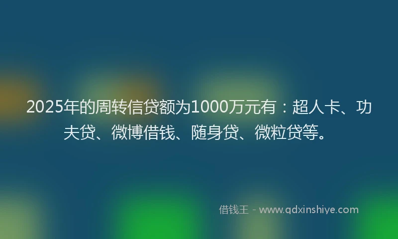 2025年的周转信贷额为1000万元有：超人卡、功夫贷、微博借钱、随身贷、微粒贷等。