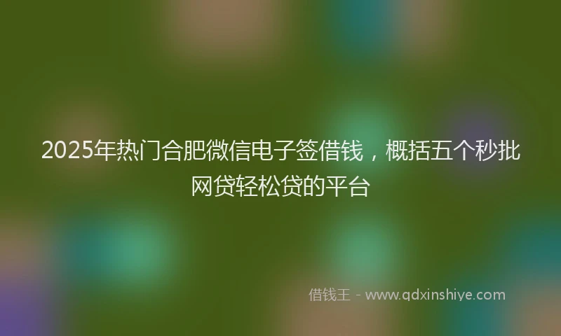 2025年热门合肥微信电子签借钱，概括五个秒批网贷轻松贷的平台