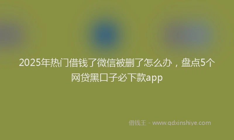 2025年热门借钱了微信被删了怎么办，盘点5个网贷黑口子必下款app