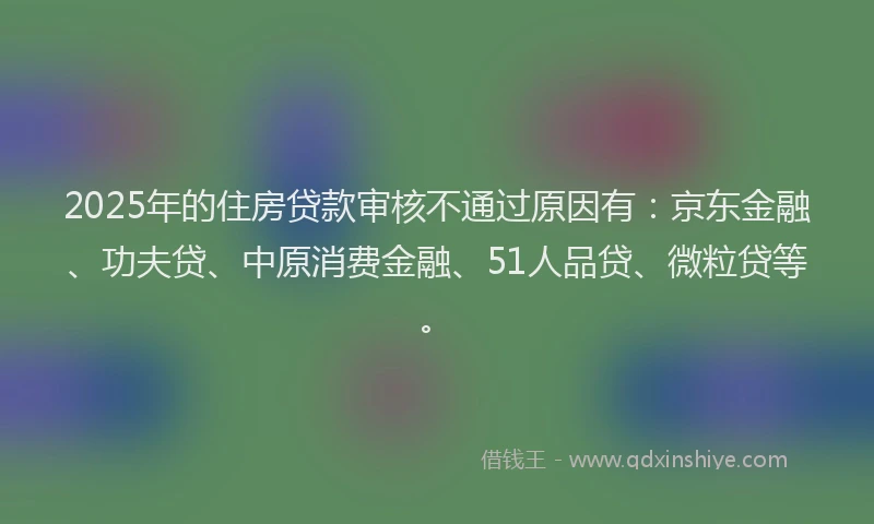 2025年的住房贷款审核不通过原因有：京东金融、功夫贷、中原消费金融、51人品贷、微粒贷等。