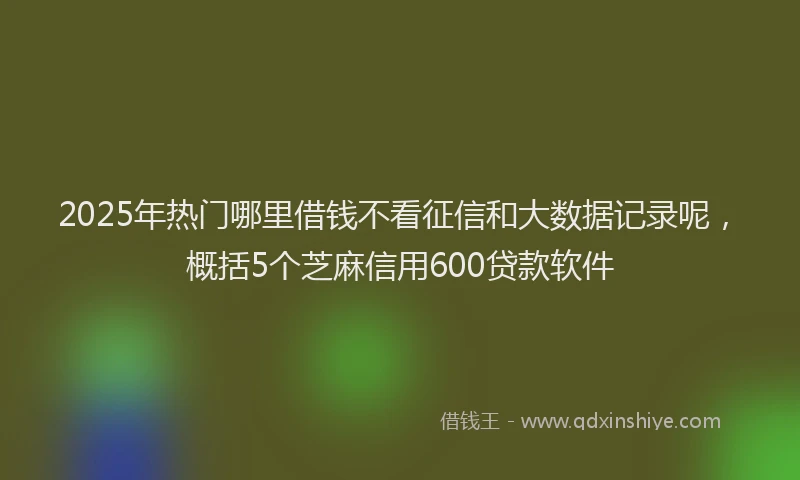 2025年热门哪里借钱不看征信和大数据记录呢，概括5个芝麻信用600贷款软件