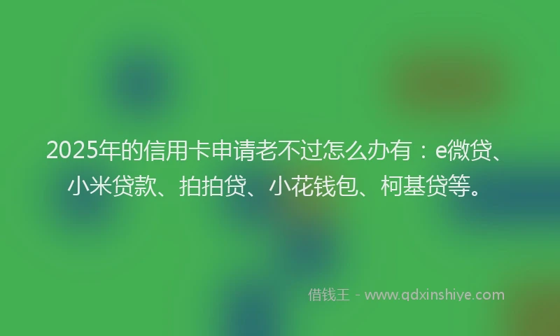 2025年的信用卡申请老不过怎么办有：e微贷、小米贷款、拍拍贷、小花钱包、柯基贷等。