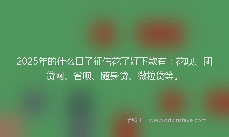 2025年的什么口子征信花了好下款有：花呗、团贷网、省呗、随身贷、微粒贷等。