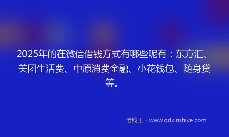 2025年的在微信借钱方式有哪些呢有：东方汇、美团生活费、中原消费金融、小花钱包、随身贷等。