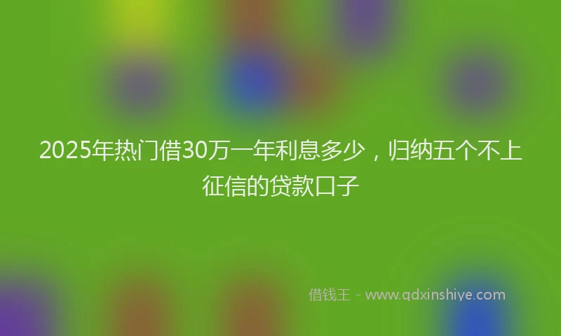 2025年热门借30万一年利息多少，归纳五个不上征信的贷款口子