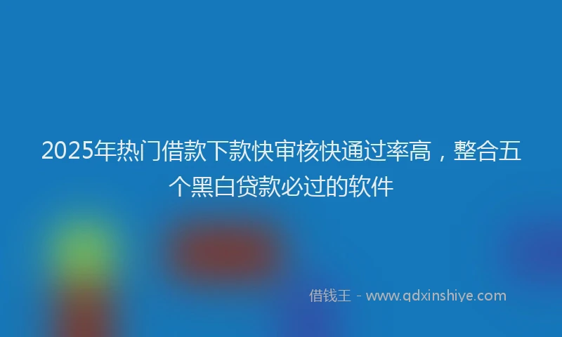 2025年热门借款下款快审核快通过率高，整合五个黑白贷款必过的软件