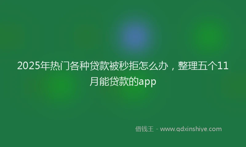 2025年热门各种贷款被秒拒怎么办，整理五个11月能贷款的app