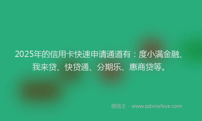 2025年的信用卡快速申请通道有：度小满金融、我来贷、快贷通、分期乐、惠商贷等。