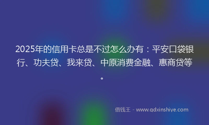 2025年的信用卡总是不过怎么办有：平安口袋银行、功夫贷、我来贷、中原消费金融、惠商贷等。