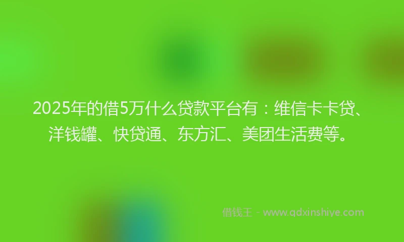 2025年的借5万什么贷款平台有：维信卡卡贷、洋钱罐、快贷通、东方汇、美团生活费等。
