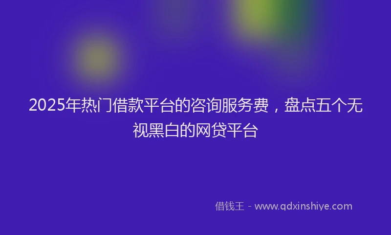 2025年热门借款平台的咨询服务费，盘点五个无视黑白的网贷平台