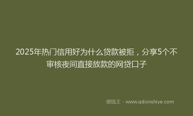 2025年热门信用好为什么贷款被拒，分享5个不审核夜间直接放款的网贷口子