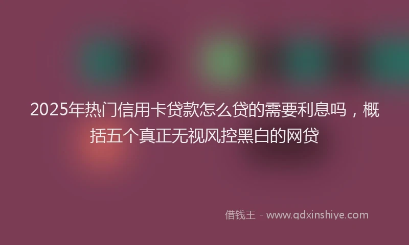 2025年热门信用卡贷款怎么贷的需要利息吗，概括五个真正无视风控黑白的网贷