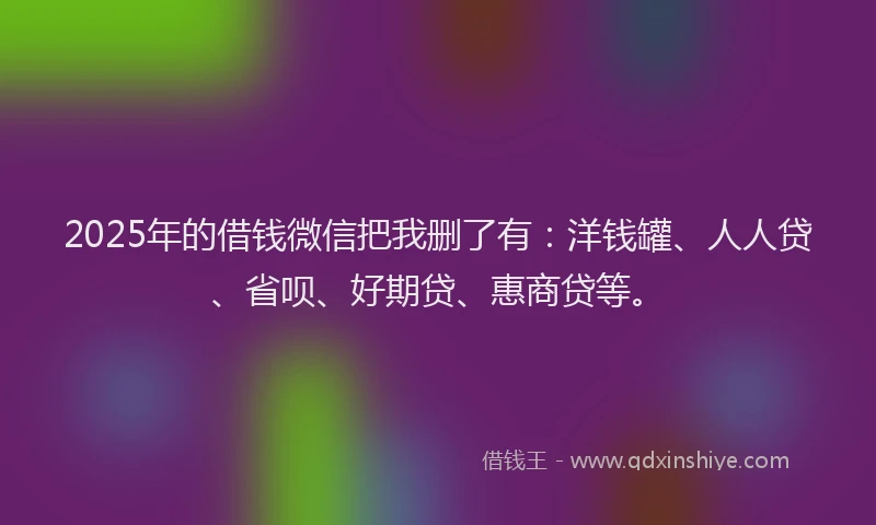 2025年的借钱微信把我删了有：洋钱罐、人人贷、省呗、好期贷、惠商贷等。
