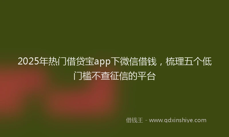 2025年热门借贷宝app下微信借钱，梳理五个低门槛不查征信的平台