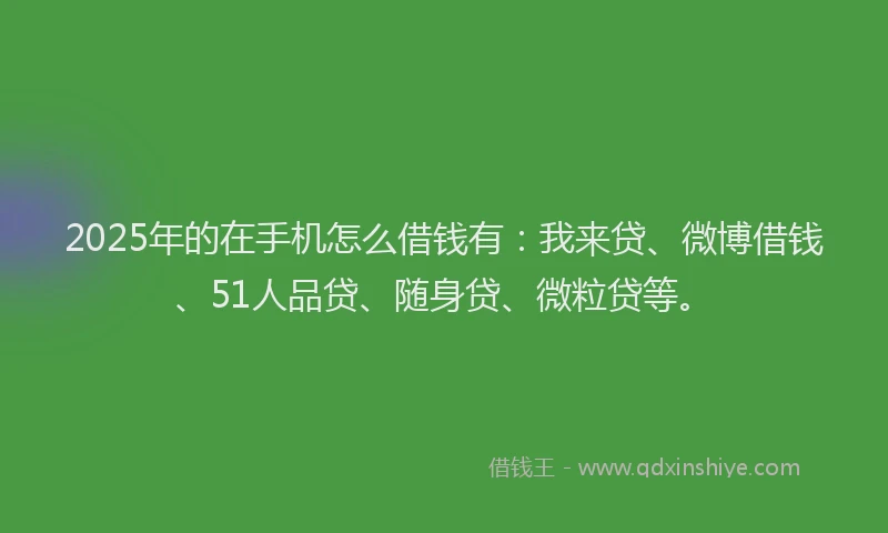 2025年的在手机怎么借钱有：我来贷、微博借钱、51人品贷、随身贷、微粒贷等。