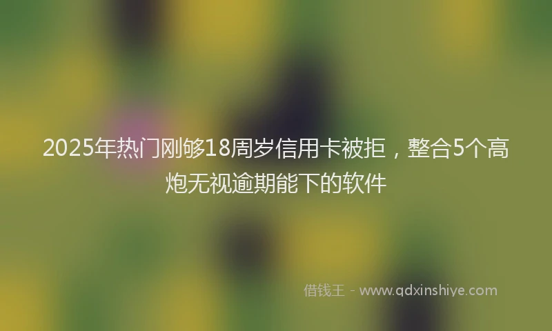 2025年热门刚够18周岁信用卡被拒，整合5个高炮无视逾期能下的软件