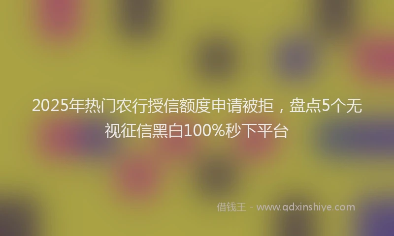 2025年热门农行授信额度申请被拒，盘点5个无视征信黑白100%秒下平台