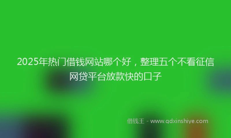 2025年热门借钱网站哪个好，整理五个不看征信网贷平台放款快的口子