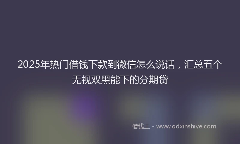 2025年热门借钱下款到微信怎么说话，汇总五个无视双黑能下的分期贷