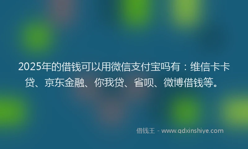 2025年的借钱可以用微信支付宝吗有：维信卡卡贷、京东金融、你我贷、省呗、微博借钱等。