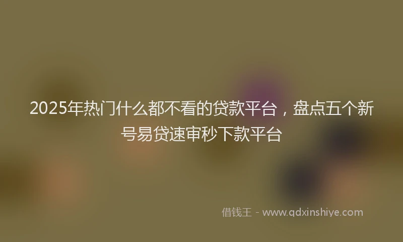 2025年热门什么都不看的贷款平台，盘点五个新号易贷速审秒下款平台