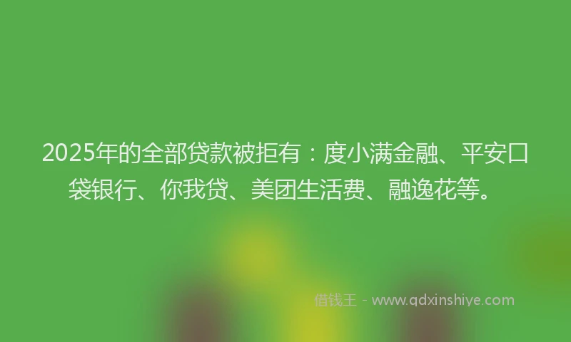 2025年的全部贷款被拒有：度小满金融、平安口袋银行、你我贷、美团生活费、融逸花等。