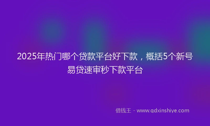 2025年热门哪个贷款平台好下款，概括5个新号易贷速审秒下款平台