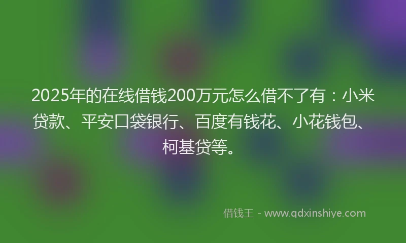 2025年的在线借钱200万元怎么借不了有：小米贷款、平安口袋银行、百度有钱花、小花钱包、柯基贷等。
