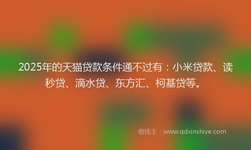 2025年的天猫贷款条件通不过有：小米贷款、读秒贷、滴水贷、东方汇、柯基贷等。