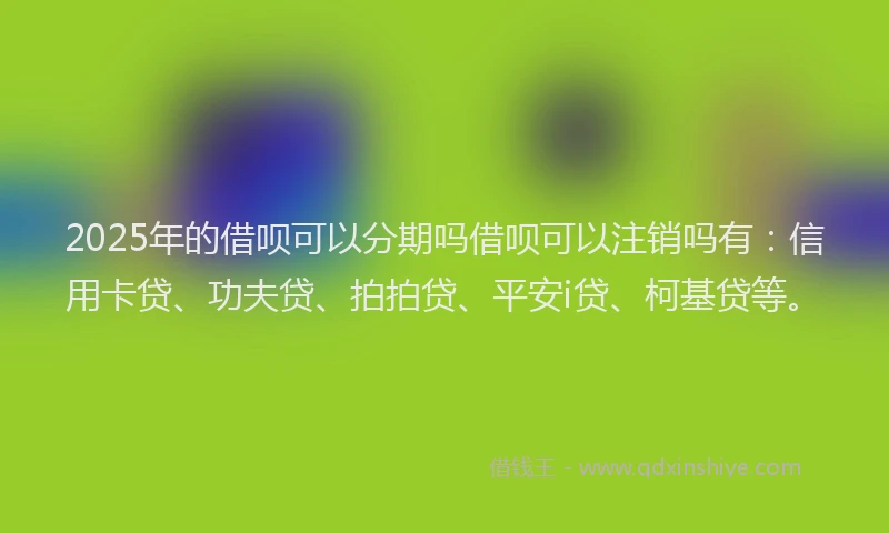 2025年的借呗可以分期吗借呗可以注销吗有：信用卡贷、功夫贷、拍拍贷、平安i贷、柯基贷等。