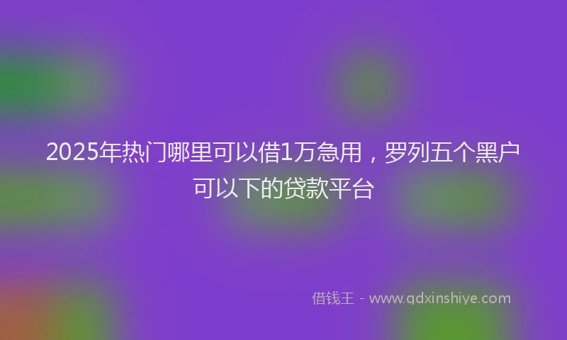2025年热门哪里可以借1万急用，罗列五个黑户可以下的贷款平台