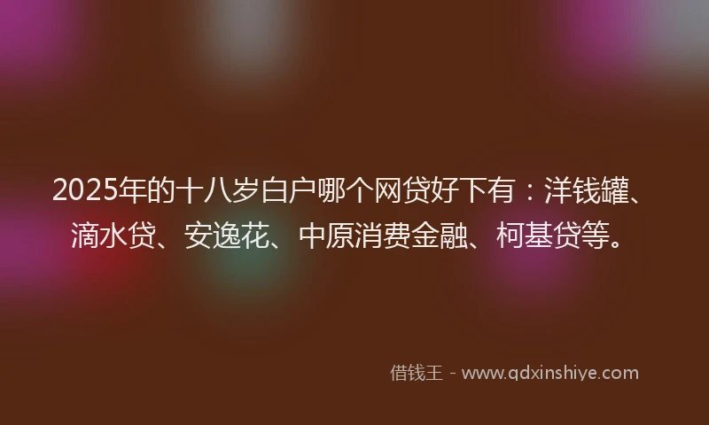 2025年的十八岁白户哪个网贷好下有：洋钱罐、滴水贷、安逸花、中原消费金融、柯基贷等。