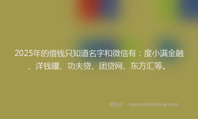 2025年的借钱只知道名字和微信有：度小满金融、洋钱罐、功夫贷、团贷网、东方汇等。