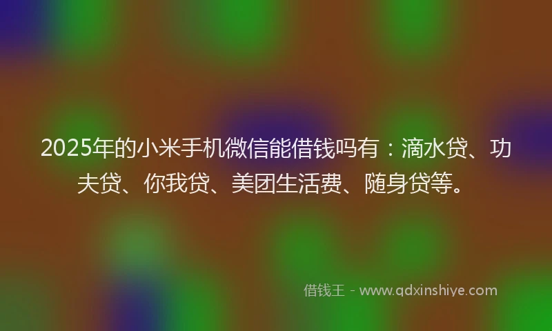 2025年的小米手机微信能借钱吗有：滴水贷、功夫贷、你我贷、美团生活费、随身贷等。