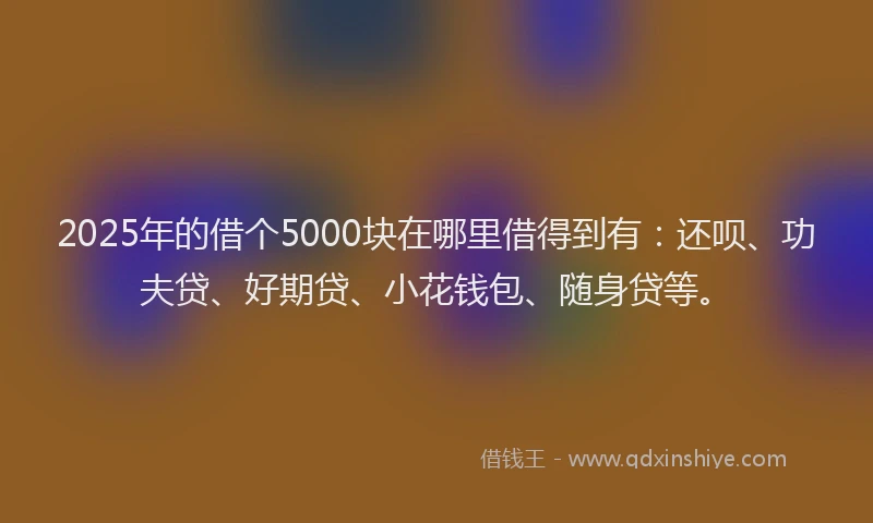 2025年的借个5000块在哪里借得到有：还呗、功夫贷、好期贷、小花钱包、随身贷等。