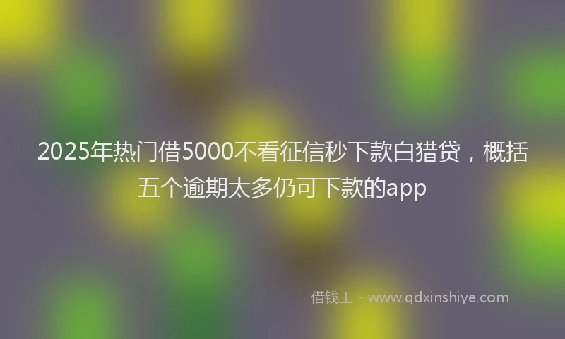 2025年热门借5000不看征信秒下款白猎贷，概括五个逾期太多仍可下款的app