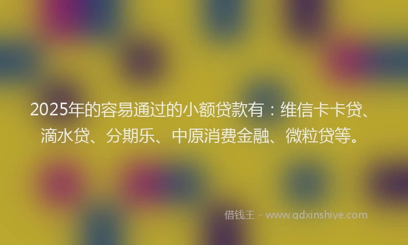 2025年的容易通过的小额贷款有：维信卡卡贷、滴水贷、分期乐、中原消费金融、微粒贷等。