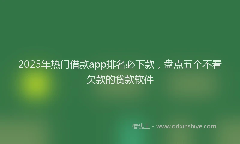 2025年热门借款app排名必下款，盘点五个不看欠款的贷款软件
