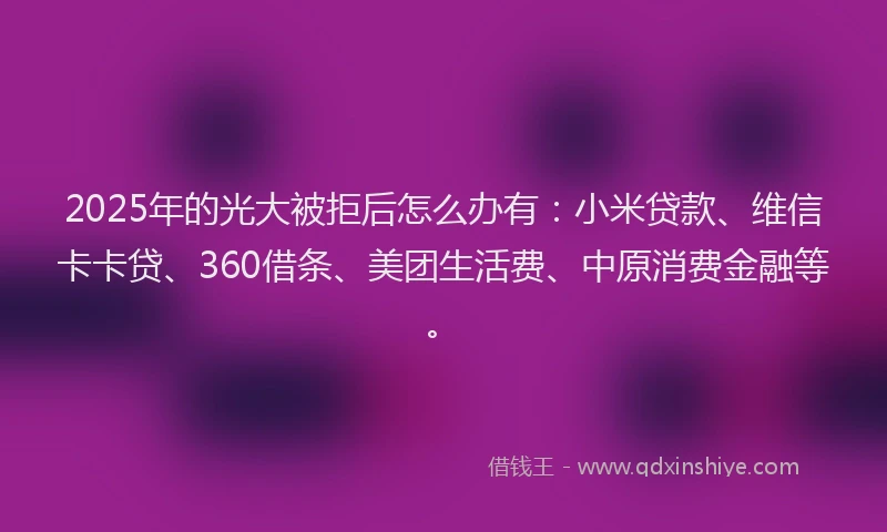 2025年的光大被拒后怎么办有：小米贷款、维信卡卡贷、360借条、美团生活费、中原消费金融等。
